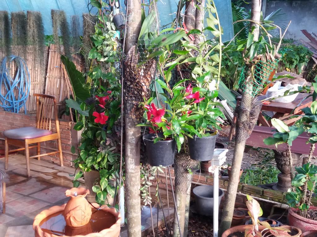Hollanda Montri Guesthouse Chiang Mai Exteriör bild