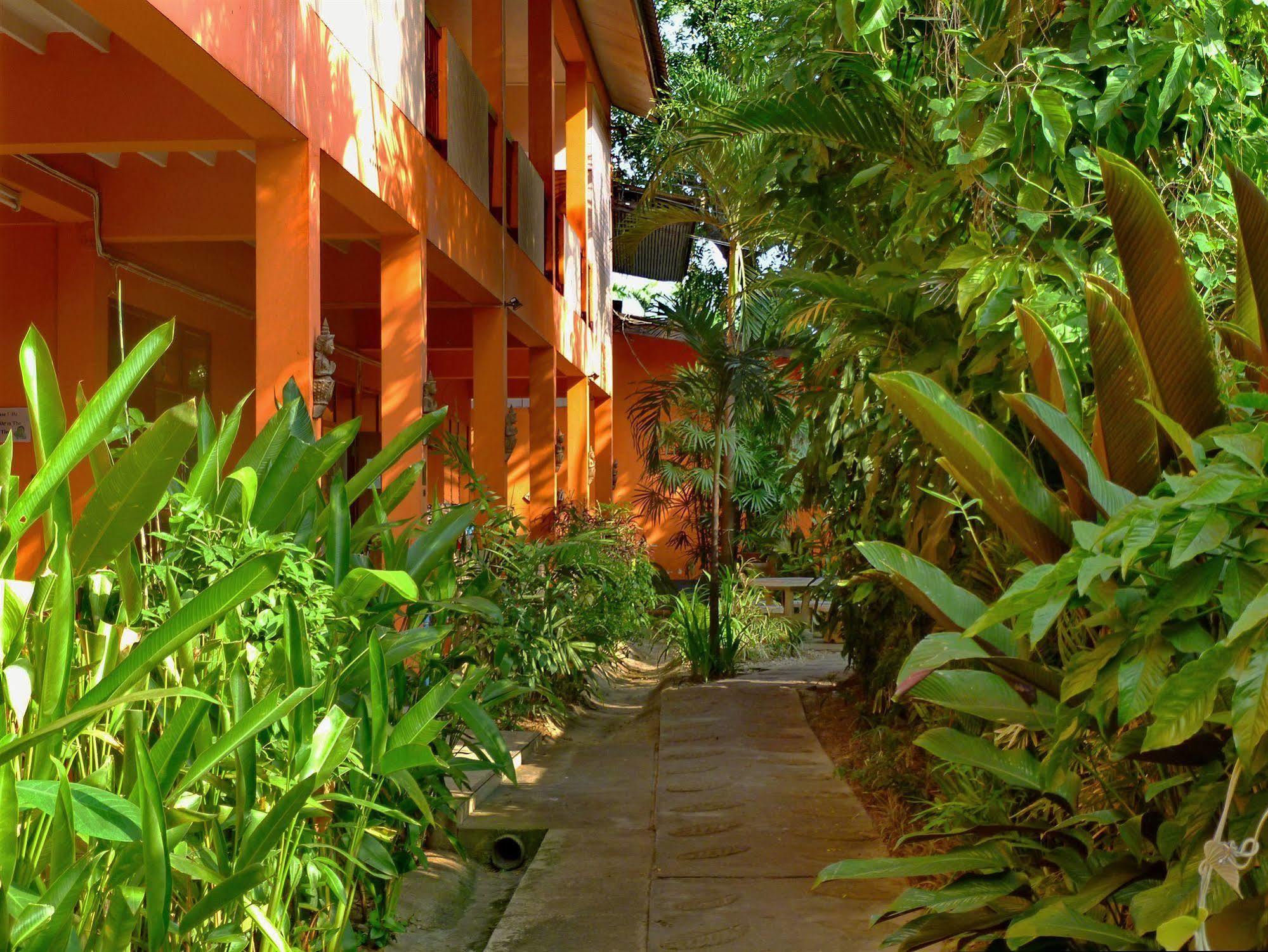 Hollanda Montri Guesthouse Chiang Mai Exteriör bild
